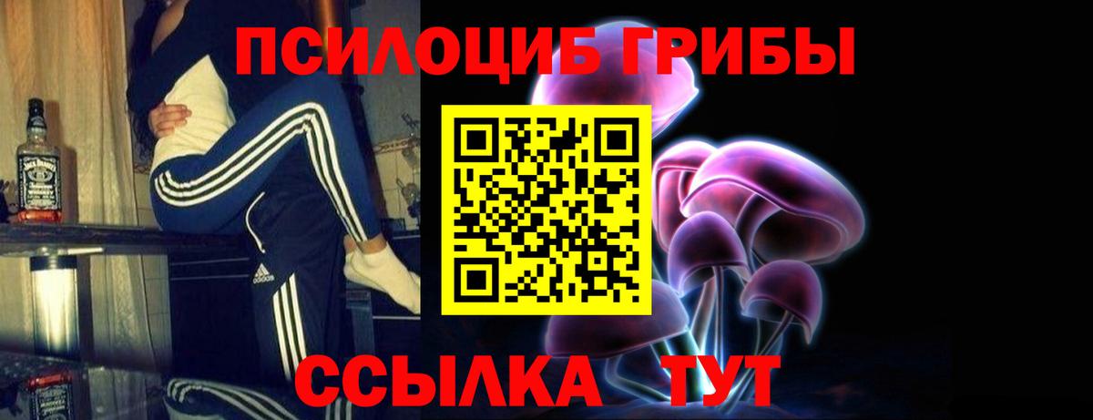 Мелеуз  Псилоцибиновые грибы мицелий  Вход с VPN 